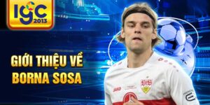 Giới thiệu về borna sosa