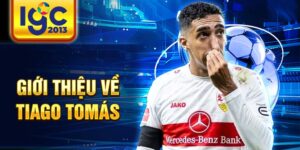 Giới thiệu về tiago tomás