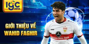 Giới thiệu về wahid faghir