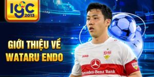 Giới thiệu về wataru endo
