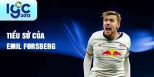 Tiểu sử của emil forsberg